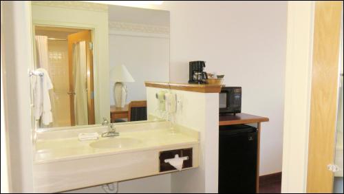 a bathroom with a sink and a mirror and a microwave at Peppermill Empress Inn in Centralia