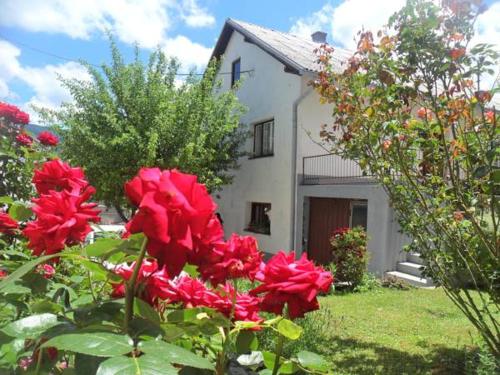 Guest House Olbina