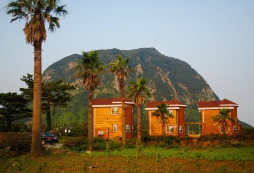 a house with palm trees in front of a mountain at Sweetsalt in Seogwipo