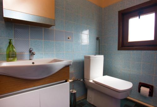 a bathroom with a sink and a toilet and a window at Yaprak Dağ Evi in Sapanca