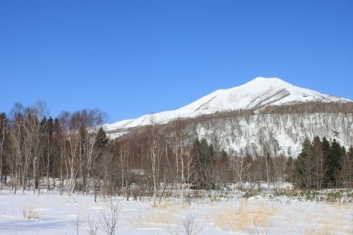 a snow covered mountain in a field with trees at Niseko Guesthouse Nalu. in Niseko