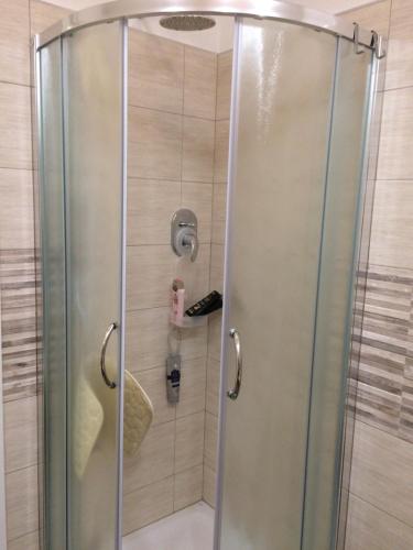 ピオンビーノにあるSalivoli Apartmentのバスルーム(ガラスドア付きのシャワー付)