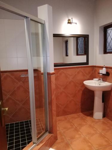 a bathroom with a shower and a sink at Villa Tropicana - South Africa in Margate