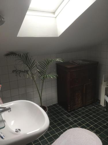 a bathroom with a sink and a potted plant at Stockholm B&B Cottage in Nacka