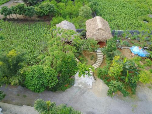 an aerial view of a garden with a grass roof at Cuc Phuong Bungalow in Phủ Nho Quan