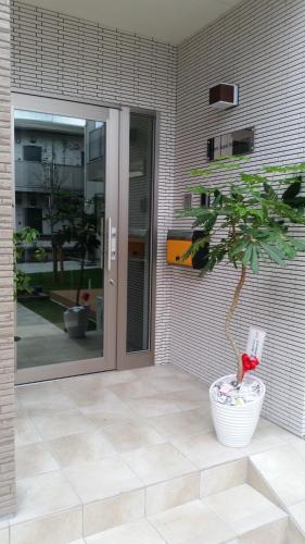 a potted tree in a pot in front of a door at Tokyo Guest House 2020 in Tokyo