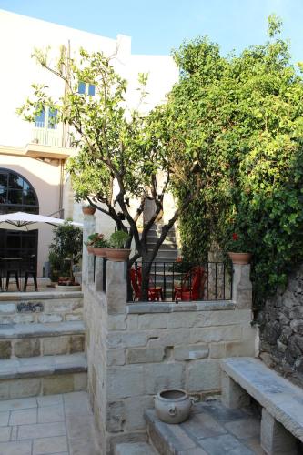 Κήπος έξω από το Palazzo Mandurino luxury relais