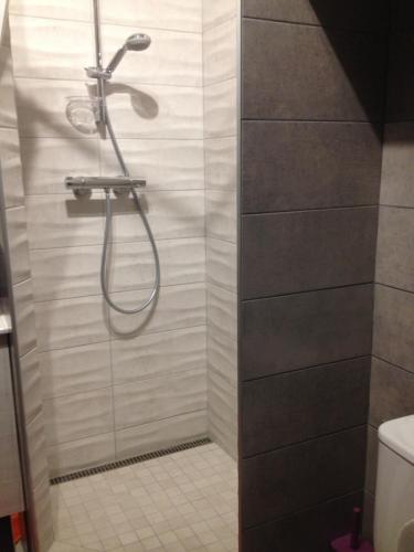 une douche avec un tuyau dans une salle de bain dans l'établissement Le Croix Roussien Lyon centre, à Lyon