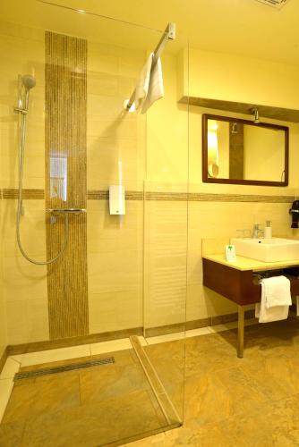 a bathroom with a shower and a sink at Hotel Arena City in Leipzig