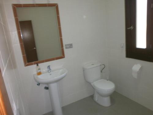 セエヒンにあるAlbergue Coto Real de la Marinaのバスルーム(トイレ、洗面台、鏡付)