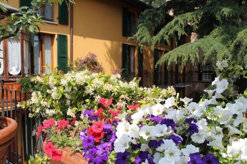 Giardino di Hotel Centrale Bellagio