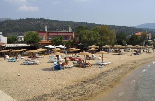 Φωτογραφία από το άλμπουμ του Panos Studios στη Σκάλα Σωτήρος