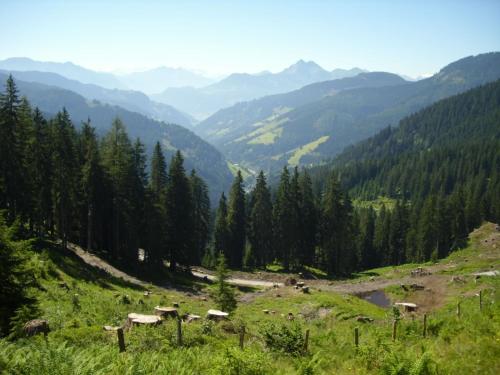 a view of a valley with mountains and trees at Chesa Montana in Maria Alm am Steinernen Meer