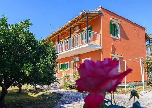 un fiore rosa di fronte a una casa di Nikos Apartments a Sidari