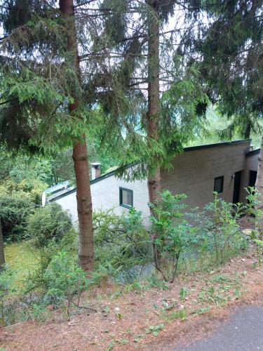 a white building with trees in front of it at Le Vieux Sart 3 in Stavelot