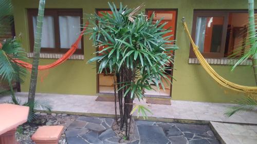 a palm tree in front of a building at Pousada Pé na Areia in Garopaba