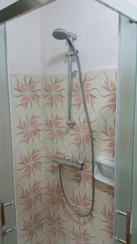 トリカーゼにあるVilla L'isolaのバスルーム(シャワー、花柄のシャワーカーテン付)