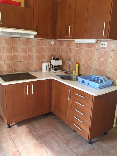 Kuchyň nebo kuchyňský kout v ubytování Pálma Apartmanház Siófok