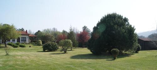 a yard with trees and a house in the background at Apartamentos El Cueto in Oviñana