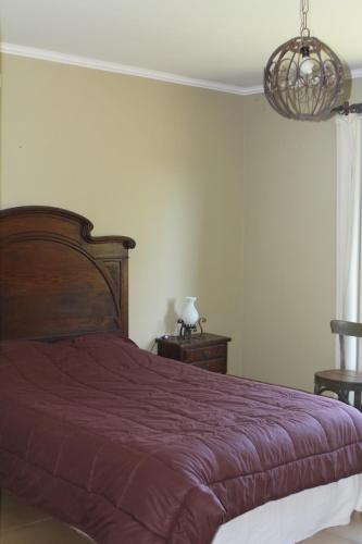 a bedroom with a bed and a chandelier at Quinta El Monte in Tandil