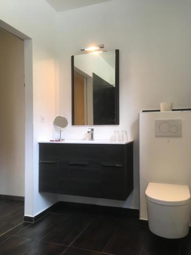 ein Badezimmer mit einem Waschbecken, einem WC und einem Spiegel in der Unterkunft Hotel Römerhof in Brigerbad