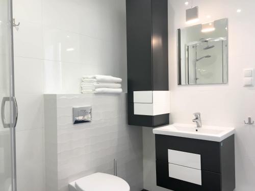 a bathroom with a toilet and a sink and a shower at Apartamenty Kamienna z widokiem na góry i 2 km do Wyciągu Skolnity - Dream Apart in Wisła