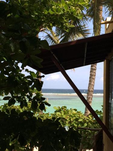 Gallery image of bpd in Boca Chica