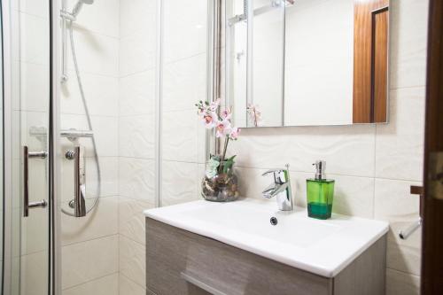 a bathroom with a sink and a shower with a mirror at Apartamento Cardenal in Valencia
