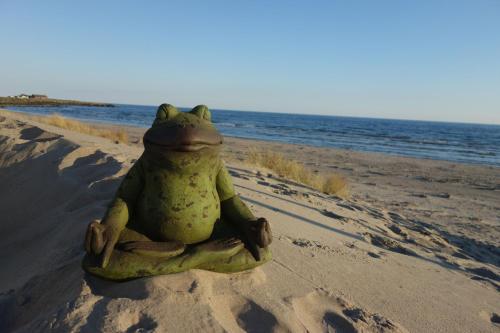 Gallery image of FlipFlop Beach Bar & Rooms in Falkenberg