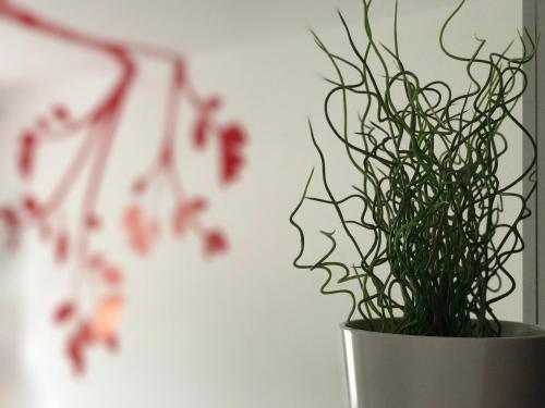 a white vase with a plant in it at FilinHome Teleckog in Novi Sad