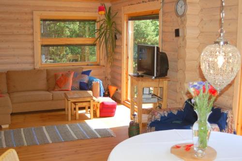 a living room with a couch and a tv at Kibuvitsa Holiday House in Muratsi