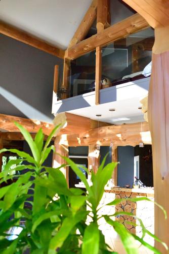 a light hanging from a wooden ceiling with a plant at The Rockwell-Harrison Guest Lodge in Harrison Hot Springs
