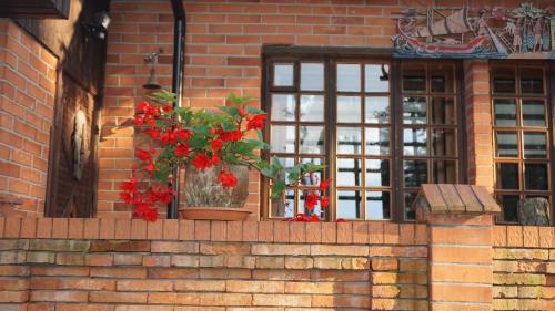 a window with a potted plant on a brick wall at Pas Birute in Kaunas