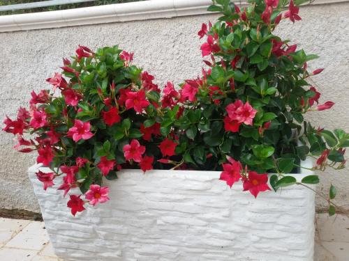 Giardino di Blu Salentino b&b con Parcheggio Privato Gratuito
