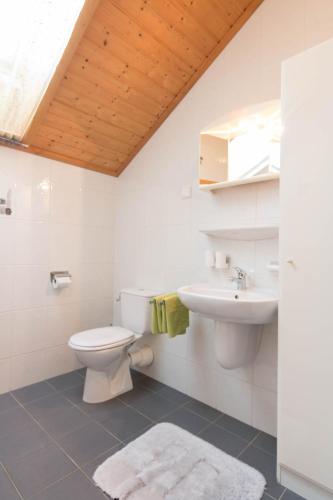 a bathroom with a toilet and a sink at Reiterbauernhof Maho in Sankt Aegyd am Neuwalde