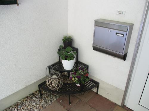 a small table with a potted plant and a tv at Greizer Kammhütte Gaststätte & Pension in Klingenthal