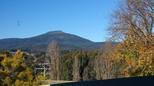 a mountain in the distance with a road and trees at ELM Accommodation - Merrijig in Merrijig
