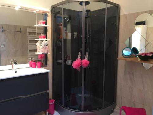 a bathroom with a shower and a sink at Chez Cathy in LʼHoumeau