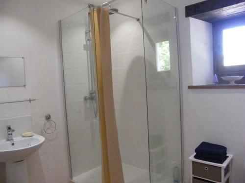 a bathroom with a glass shower and a sink at Pear Tree Gite in Génis