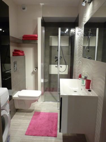 a bathroom with a toilet and a sink and a shower at Apartament Sandra in Karpacz