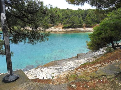 uitzicht op een rivier met blauw water en bomen bij Apartment Lela in Pula