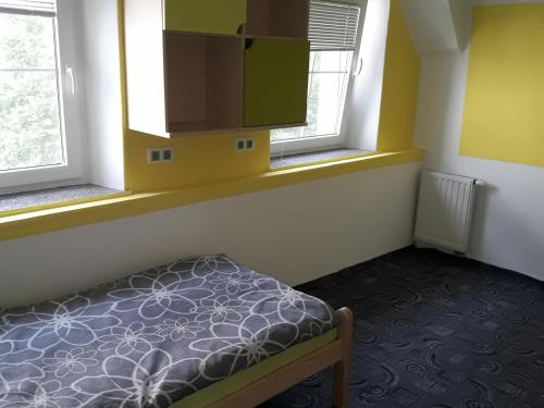 a small room with a bed and two windows at Apartments Akacijev Izvir in Miklavž na Dravskem Polju