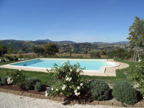 a swimming pool in a yard with a hill in the background at Al Castello in San Severino Marche