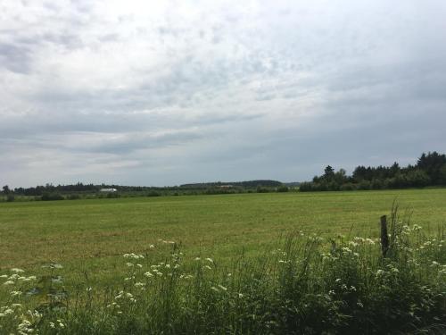 a field of grass with a fence and flowers at Skovhuset in Uggerby