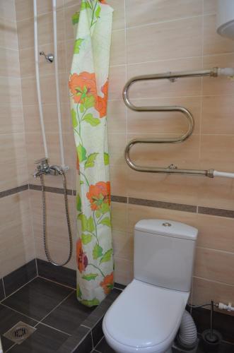 ゴリアチャンスクにあるGuest House Gorhonのバスルーム(トイレ、シャワーカーテン付)