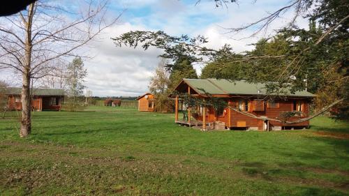 une cabane en rondins dans un champ avec un arbre dans l'établissement Cabañas De Madera, à La Unión