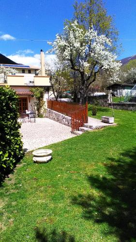 a yard with a fence and a tree with white flowers at Appartamenti De Sanctis in Villetta Barrea
