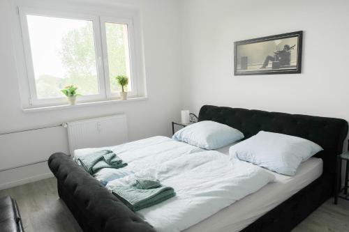 ペーネミュンデにあるSunny Apartmentのソファ付きのリビングルーム(枕2つ付)