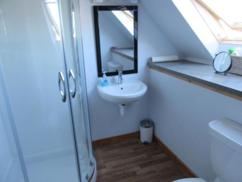 a bathroom with a sink and a toilet and a mirror at Taighali Apartment in Aultbea