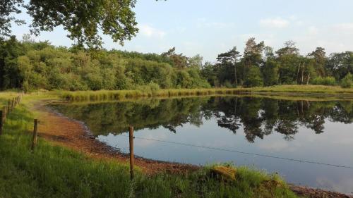 a body of water with trees in the background at B&B De Grote Plaats in Hoogstraten